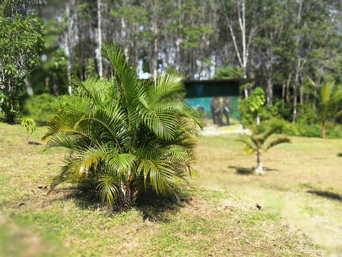 Apartmán Palm Garden House Ko Lanta Exteriér fotografie