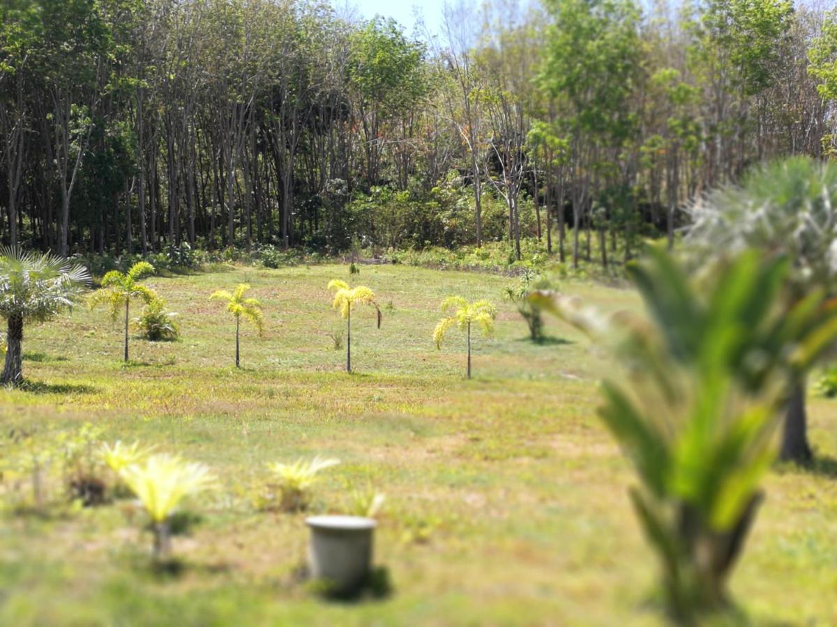 Apartmán Palm Garden House Ko Lanta Exteriér fotografie